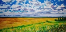 Sweet Clover and Canola, near High Prairie, Alberta