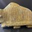 Muskox