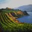 Wine Country -  SOLD